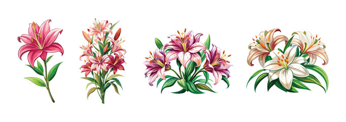 lily flower vector art, floral vector, set of beautiful flowers, simple colorful illustration of lily flower 