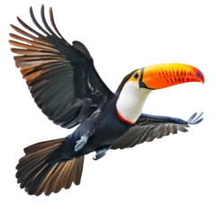 Fototapete Rund Beautiful Flying Toucan Isolated on a White Background for Use in Nature-Themed Designs and Education Materials and transparent background © Aifolio