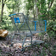 Cart in Wild