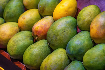 Fresh Tropical Mangoes in a Market Display