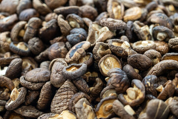 A Rich Collection of Dried Mushrooms for Culinary Delights