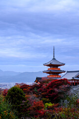 Kiyomizu-dera at morning