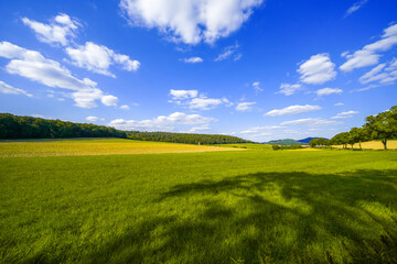 Obraz premium View of the green landscape near Albertshausen near Bad Wildungen. 