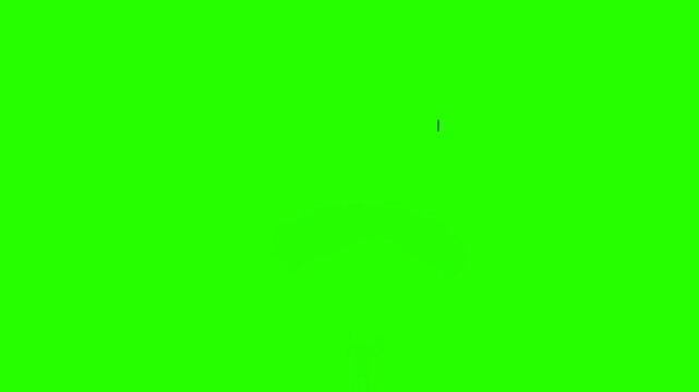 Green screen animation of skydiving sport silhouette 