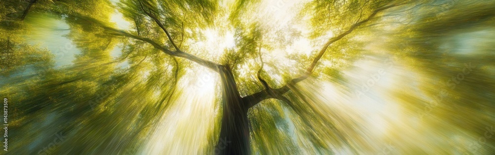Aufkleber Abstract view of vibrant tree canopies illuminated by sunlight during a peaceful afternoon in a lush forest