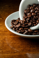 Roasted coffee beans