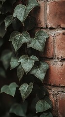 Detailed view of ivy leaves growing on an old brick wall in a serene outdoor setting