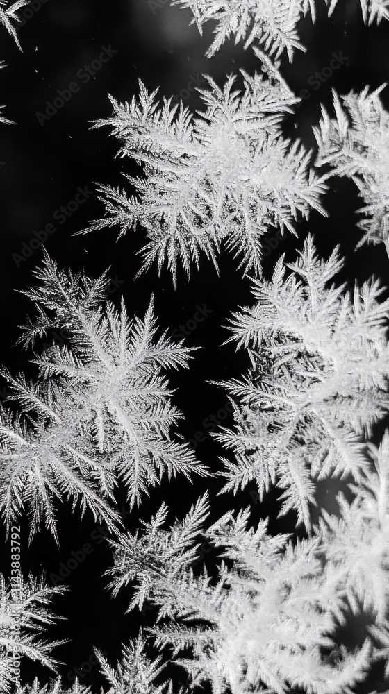 Poster intricate frost patterns create a stunning winter tapestry on a cold window pane during a frosty mor