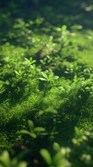 Close-up view of vibrant spring moss with tiny buds emerging in a lush green setting