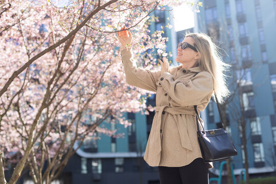 Blonde touches a branch of blooming cherry standing in the park