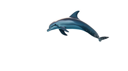 Fototapeta premium A Playful Dolphin Jumping in the Ocean Capturing Joy and Freedom in Nature's Wonders.
