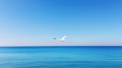A solitary seagull gracefully soars above a tranquil sea under a clear blue sky, capturing the essence of freedom and serenity in nature's beautiful landscape.