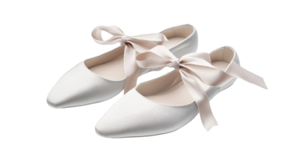 Traditional Ballet Slippers on Display: A Perfect Representation of Dance Beauty and Craftsmanship.