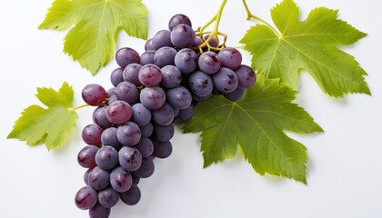 Fototapeta premium A Lush Bunch of Red Grapes with Vibrant Green Leaves