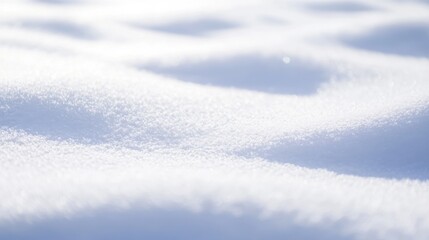 Obraz premium Captivating texture of fresh snow showcasing soft whites in a serene winter landscape