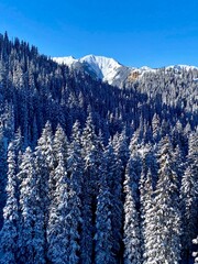 snow covered mountains