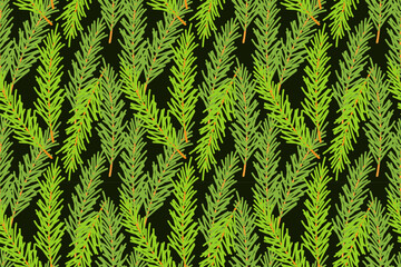 Pattern of fir branches, coniferous green branches, Christmas holiday background, backdrop, backing, on dark background. Vector illustration