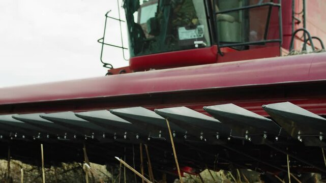 Combine harvester in the field