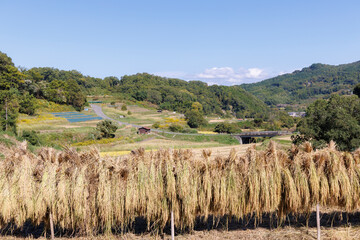 日本の原風景を感じる奈良県飛鳥にある棚田