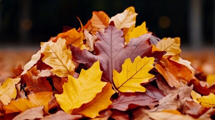 Fototapeta premium Autumn Leaf Pile: A vibrant collection of fallen autumn leaves in rich hues of red, orange, and gold, forming a picturesque pile, showcasing the beauty of the season. 