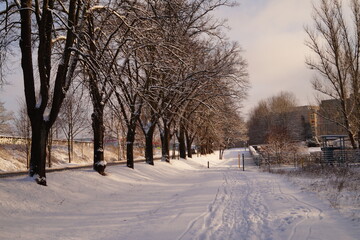 Obraz premium Winterliche Straße in Brandenburg an der Havel