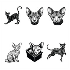 Sphynx Cat vector  Silhouettes Bundle