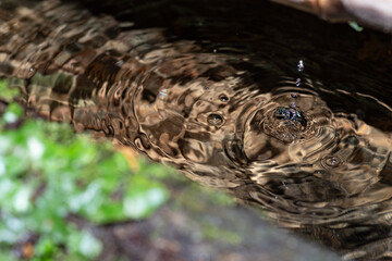 湧き水が滴り落ちる風景