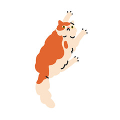 Funny cat clinging, holding on wall with paws, climbing with claws. Cute comic feline pet. Playful humorous awkward confused kitty, mem animal. Flat vector illustration isolated on white background