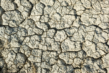 Dry cracked earth texture, cracks in the ground due to hot dry summers. Ecological problems. Climate warming. Dry land in summer, global natural crisis. Ground drought fertile soil dried up and cracke