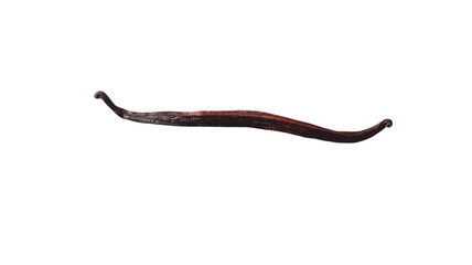 A Fresh Vanilla Bean Curved Elegantly on a Surface Perfect for Culinary Use in Recipes or Decoration.
