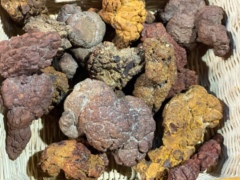 Fossilized Dinosaur poop