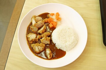 Chicken katsu and Japanese curry sauce with rice, top view photo