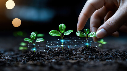 Innovative technology enhances plant growth, showcasing hand nurturing seedlings with digital connections. This symbolizes fusion of nature and technology