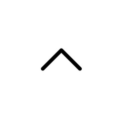 Chevron Up Icon