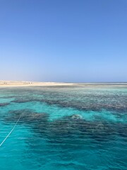 Turkus rafy koralowej na Morzu Czerwonym © Joanna