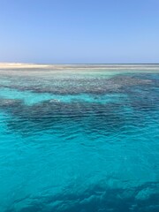 Turkus rafy koralowej na Morzu Czerwonym © Joanna