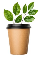 Sustainable Plant in Eco-Friendly Cup