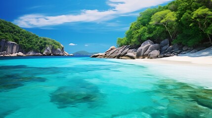 Naklejka premium Emerald Allure of the Similan Islands A Captivating Seascape Showcasing Nature s Sublime Beauty in a Tropical Paradise The crystal clear turquoise waters and lush