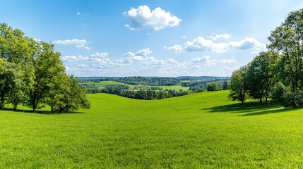 Panoramic view of a lush green field under a sunny sky.