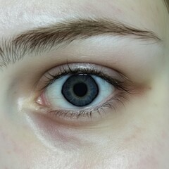 Close-up of a female caucasian eye with natural makeup and detailed iris
