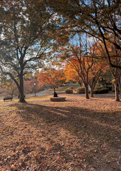 Naklejka premium A photo of a lonely man sitting in a park during late autumn