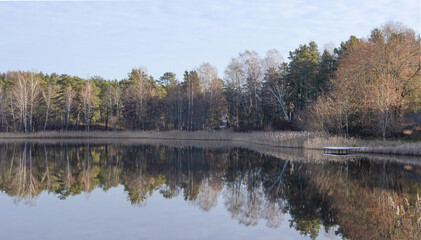 Fototapeta premium reflection of trees in the water