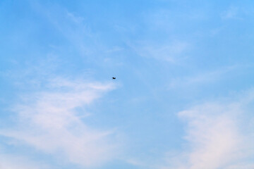 a heron flying in the blue sky
