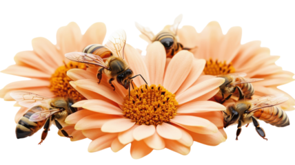 Bees collecting nectar from pink flowers in a vibrant garden during bright daylight.