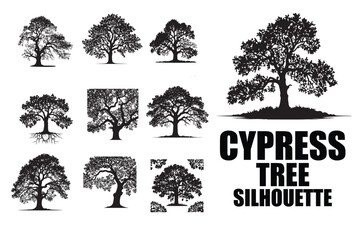Fototapeta premium Beautiful Silhouette of a Cypress Tree in Dusk Light