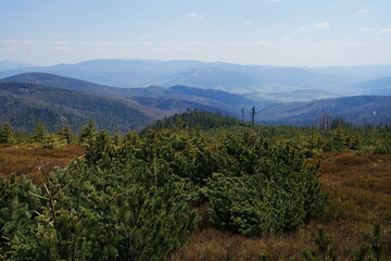 Fototapeta premium Desolate Silesian Beskid near European Szczyrk town in Poland