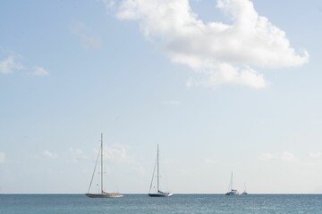 Fototapeta premium Sailing boats on the horizon