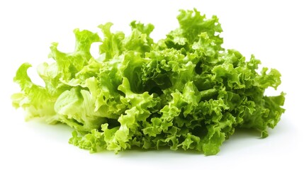 Vibrant and crisp green lettuce leaves isolated on a clean white background for fresh salad presentations and healthy meal concepts
