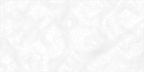 Topographic map in contour line light topographic topo contour map. Lines Topographic contour lines map seamless pattern White snow background close up . White and gray marble texture. White marble