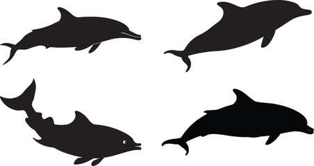 Dolphin silhouette vector set on transparent background 